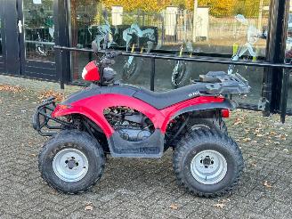 Quads  Eton Yukon 150cc Utility picture 2