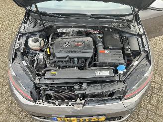 Volkswagen Golf GTI Performance 2.0 TSI picture 30