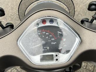 AGM  Wangye Maple picture 15