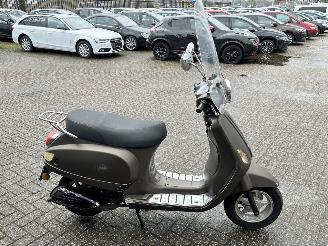 AGM  Wangye Maple picture 6