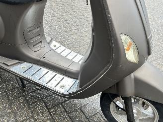 AGM  Wangye Maple picture 11