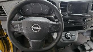 Opel Vivaro 2.0CDT, Lang, Motorschaden picture 10