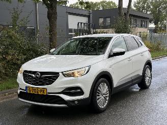 Gebrauchtwagen PKW Opel Grandland X 2019/11