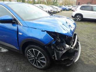 Opel Grandland 1.6 Turbo Hybrid Business Executive picture 11