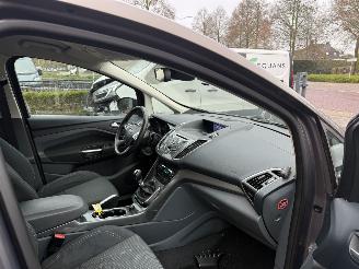 Ford C-Max 1.0 Titanium (MPV 5-dr.) picture 13