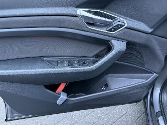 Audi E-tron 55 quattro edition 95 kWh  PANORAMADAK picture 11