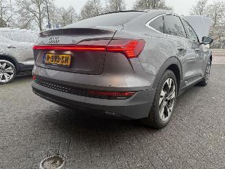 Audi E-tron 55 quattro edition 95 kWh  PANORAMADAK picture 37