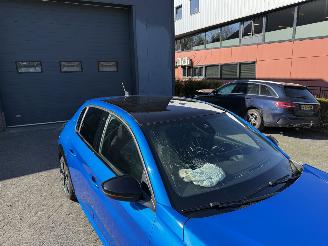 Peugeot 208 EV GT Pack 50 kWh  PANORAMADAK  (Hatchback 5-dr.) picture 46