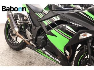 Kawasaki  Ninja 300 picture 17
