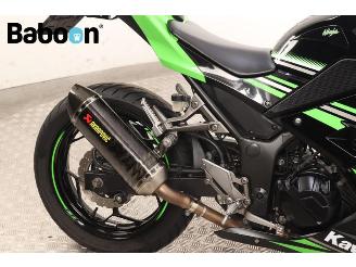 Kawasaki  Ninja 300 picture 11