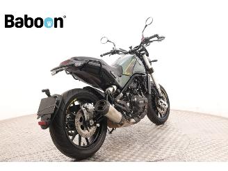 Benelli  Leoncino 500 picture 8