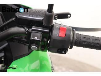 Kawasaki Versys 1000 ABS Tourer picture 15