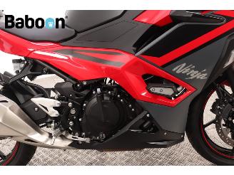 Kawasaki Ninja 500 SE  picture 11