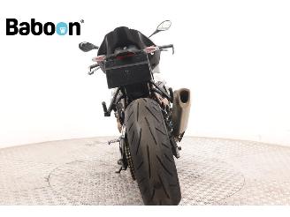 BMW S 1000 R ABS picture 7