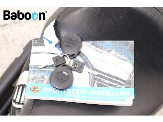 Harley-Davidson XL 883 N Sportster Iron ABS picture 24