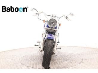 Harley-Davidson XL 1200 C Sportster Custom picture 3