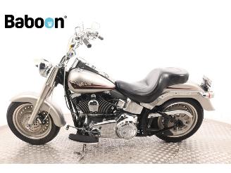 Harley-Davidson  FLSTF Fat Boy picture 5