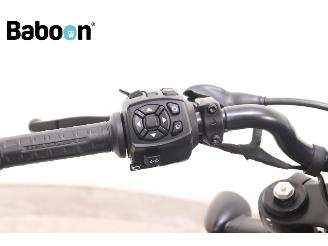 Harley-Davidson  RH Sportster 1250 S ABS picture 17