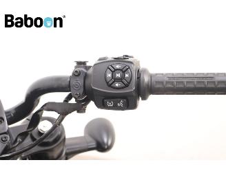 Harley-Davidson  RH Sportster 1250 S ABS picture 18