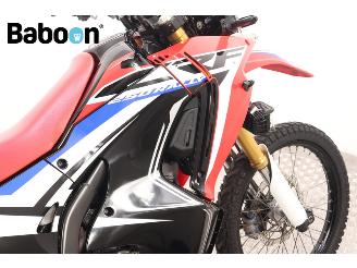 Honda CRF 250 Rally picture 15