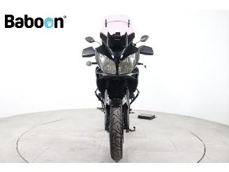 Suzuki DL 650 V-Strom ABS picture 3