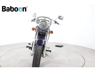 Kawasaki VN 800 Vulcan Classic picture 7