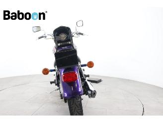 Kawasaki VN 800 Vulcan Classic picture 3