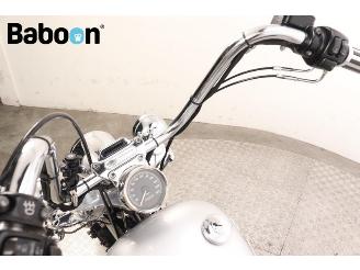 Harley-Davidson XL 1200 C Sportster picture 22