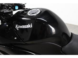 Kawasaki Ninja 250 R  picture 10
