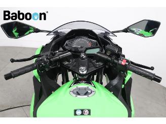 Kawasaki  Ninja 300 picture 16