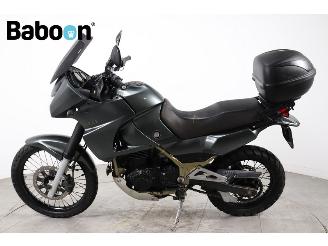 Kawasaki KLE 500  picture 5