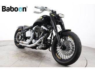 Harley-Davidson  FLSTF Fatboy picture 2