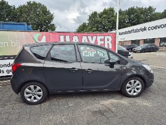 Opel Meriva 1.4 turbo cosma picture 2