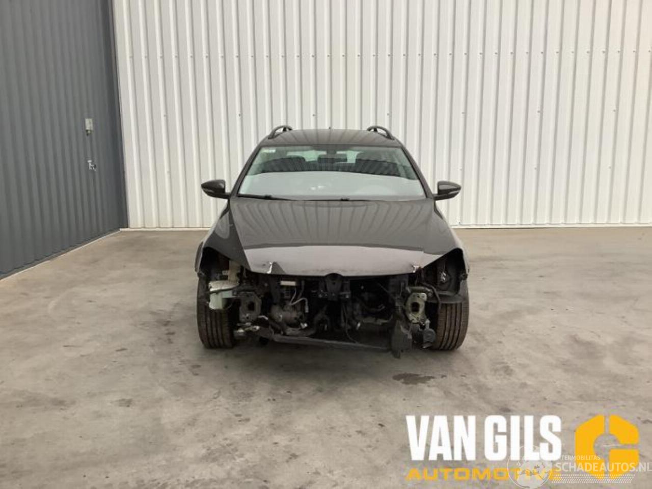 Volkswagen Passat Passat Variant (365), Combi, 2010 / 2015 1.6 TDI 16V Bluemotion