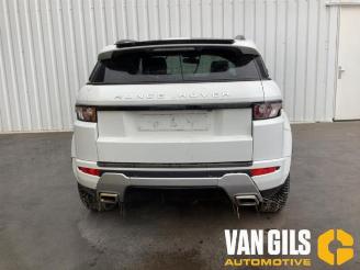Land Rover Range Rover Evoque Range Rover Evoque (LVJ/LVS), SUV, 2011 / 2019 2.0 Si4 240 16V 5-drs. picture 7