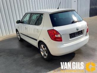 Skoda Fabia  picture 9