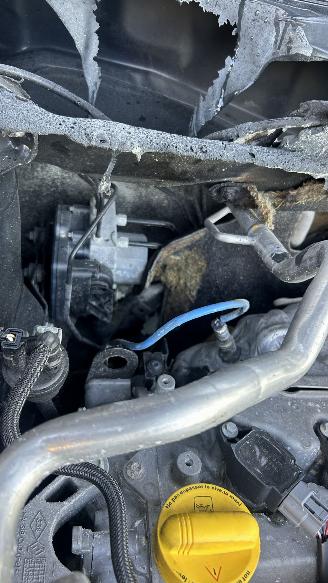 Nissan Qashqai  picture 20