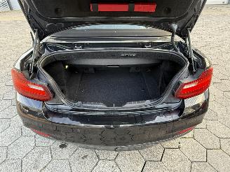 BMW 2-serie Cabrio 220i Centennial High Executive picture 14