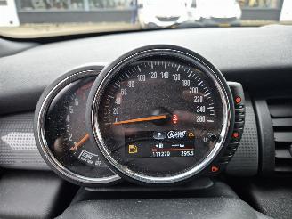 Mini Cooper 1.5 Cabrio AUTOM 100KW Cooper Chili picture 16