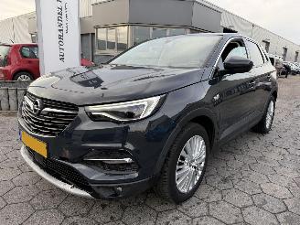 Vaurioauto  passenger cars Opel Grandland X 1.2 Turbo Business Executive 2019/9