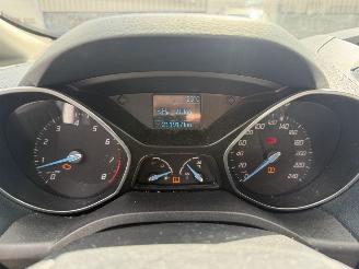 Ford C-Max 1.6 EcoBoost Titanium picture 16