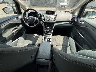 Ford C-Max 1.6 EcoBoost Titanium picture 15