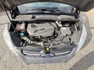 Ford C-Max 1.6 EcoBoost Titanium picture 9