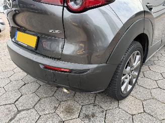 Mazda CX-30 2.0 e-SkyActiv-X M picture 20