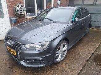 Audi A3 1.4 E-TRON S Line automaat pannodak picture 2