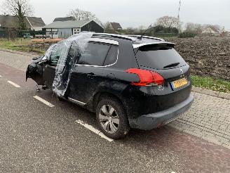 Peugeot 2008  picture 4