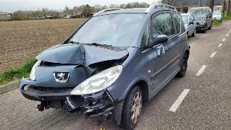 Peugeot 1007 1.6-16v gENTRY picture 2