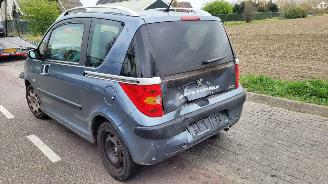 Peugeot 1007 1.6-16v gENTRY picture 4