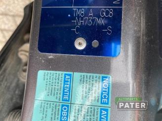 Honda Insight Insight (ZE2), Hatchback, 2009 / 2014 1.3 16V VTEC picture 11