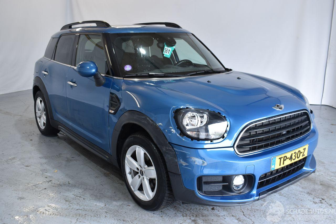 Mini Countryman ONE